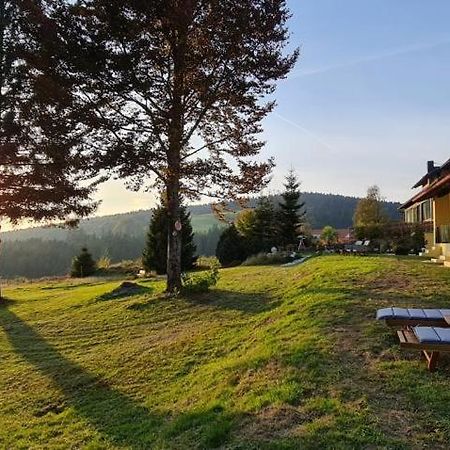 Dreisessel Motel Haidmühle Eksteriør billede
